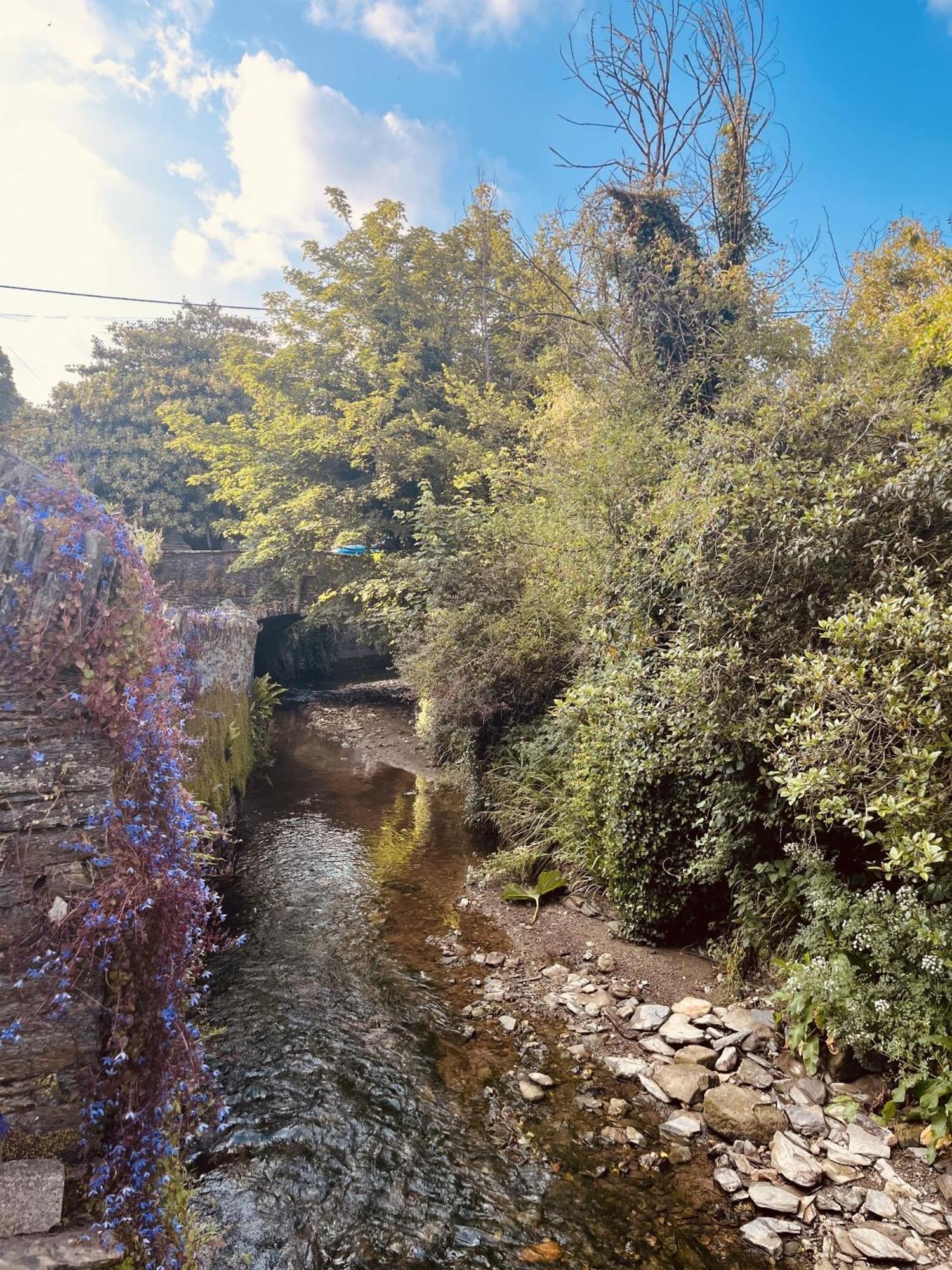 2 Bedrooms Overlooking Creek Holiday home *